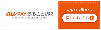 au PAY ふるさと納税